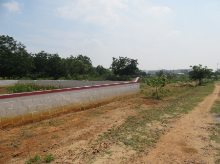 2) Open Plots for Sale in Tirupati - Karkambadi Road.JPG